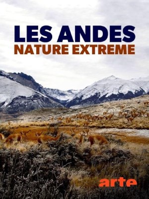 The Wild Andes