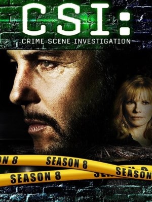 CSI: Đội Điều Tra Hiện Trường (Mùa 8)