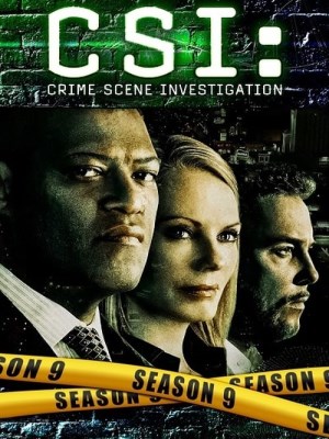 CSI: Đội Điều Tra Hiện Trường (Mùa 9)