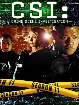 CSI: Đội Điều Tra Hiện Trường (Mùa 11)