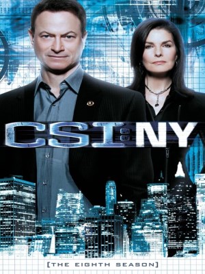 CSI: New York (Mùa 8)